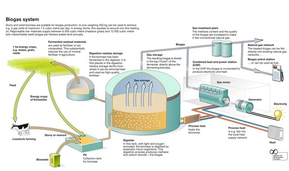 Contoh Energi Alternatif Pengganti Bahan Bakar Minyak Bumi 