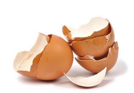 9 Manfaat Cangkang  Telur  Bagi Kesehatan Kerajinan Kecantikan Manfaat co id