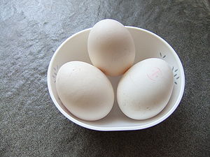 10 Manfaat Telur Angsa  Bagi Kesehatan Tubuh Manfaat co id