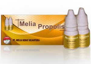 Quran Al Dalam Propolis