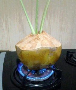 Kelapa ijo bakar