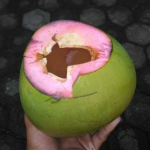 Kelapa merah