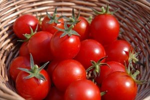 5ce19478 tomat