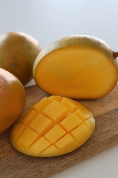 KENT Mango