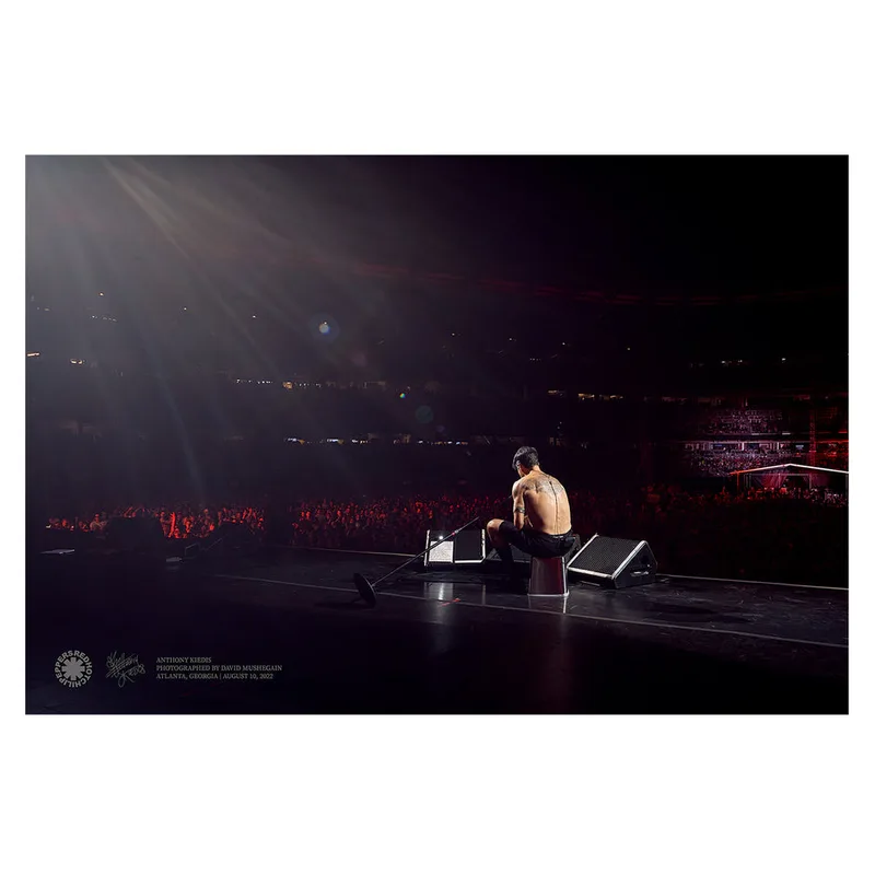 David Mushegain Anthony Kiedis Poster
