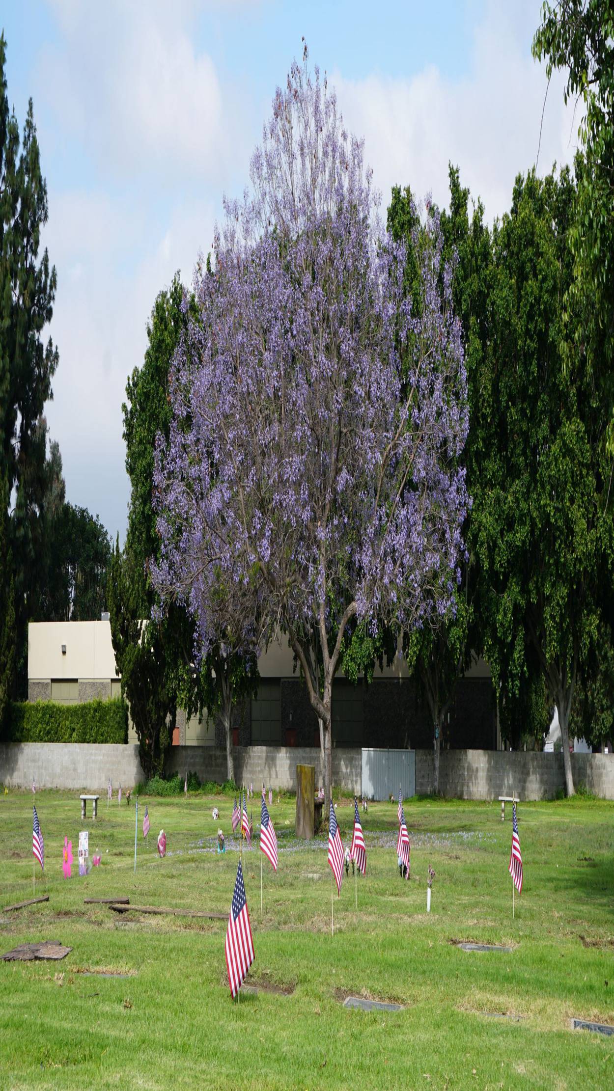 Artesia Cemetery