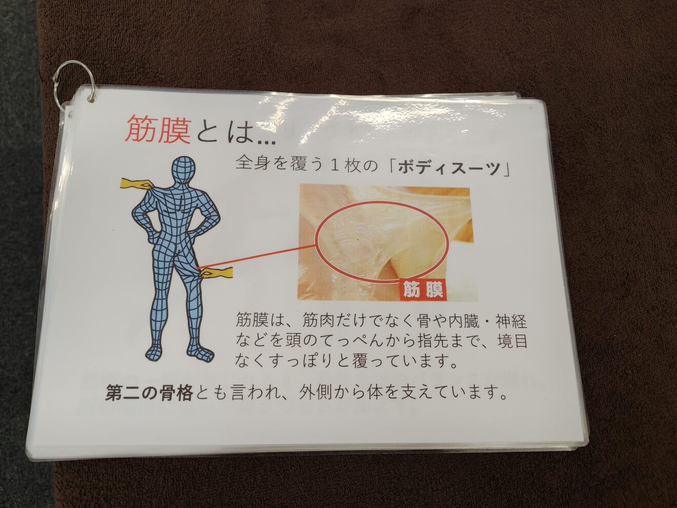 10639