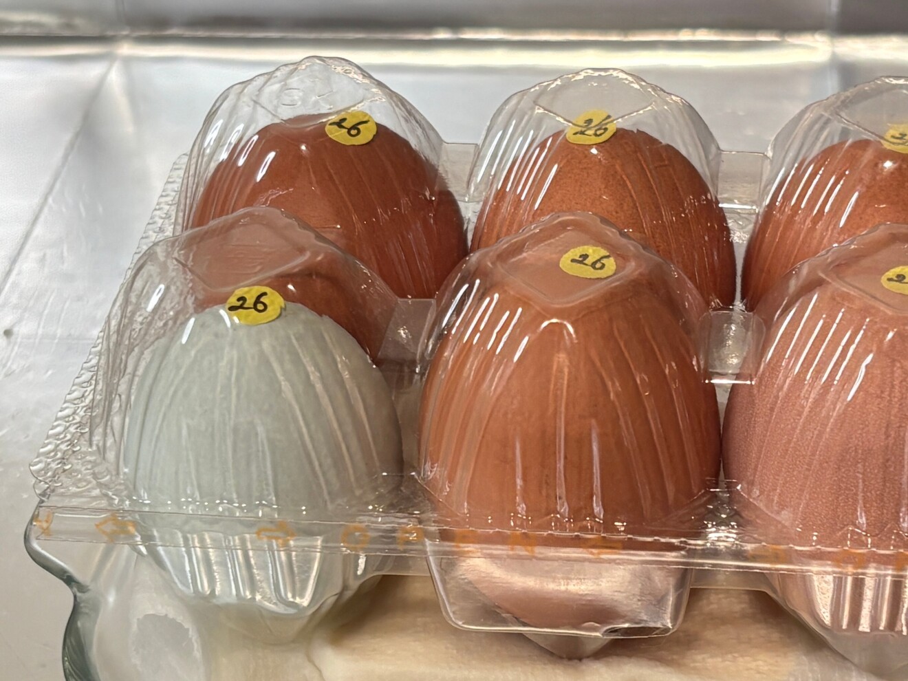 9315