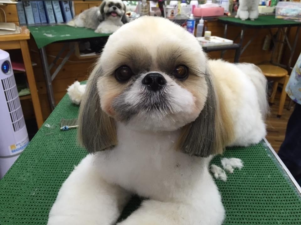 ワンワンショップ　パルコ