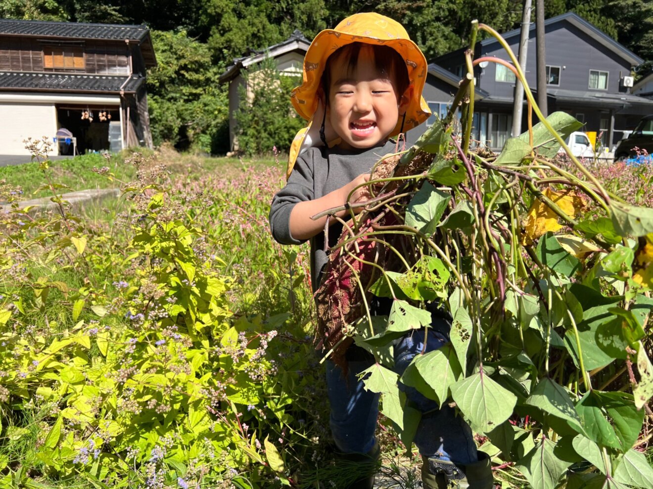 古民家サロン香和顔施　新潟長岡