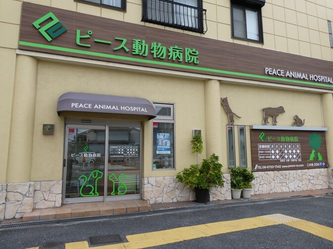 ピース動物病院