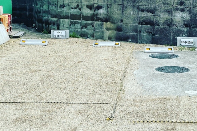 vive整体院