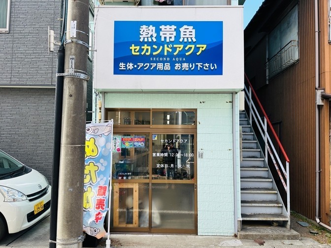 買取専門の熱帯魚屋さん@東京都江戸川区