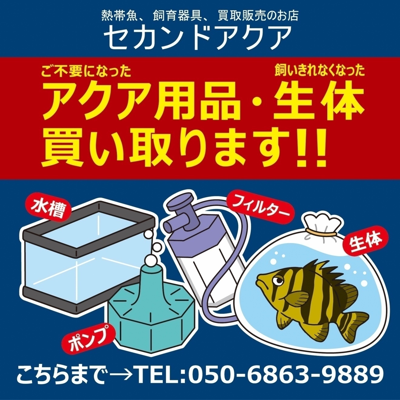 買取専門の熱帯魚屋さん@東京都江戸川区