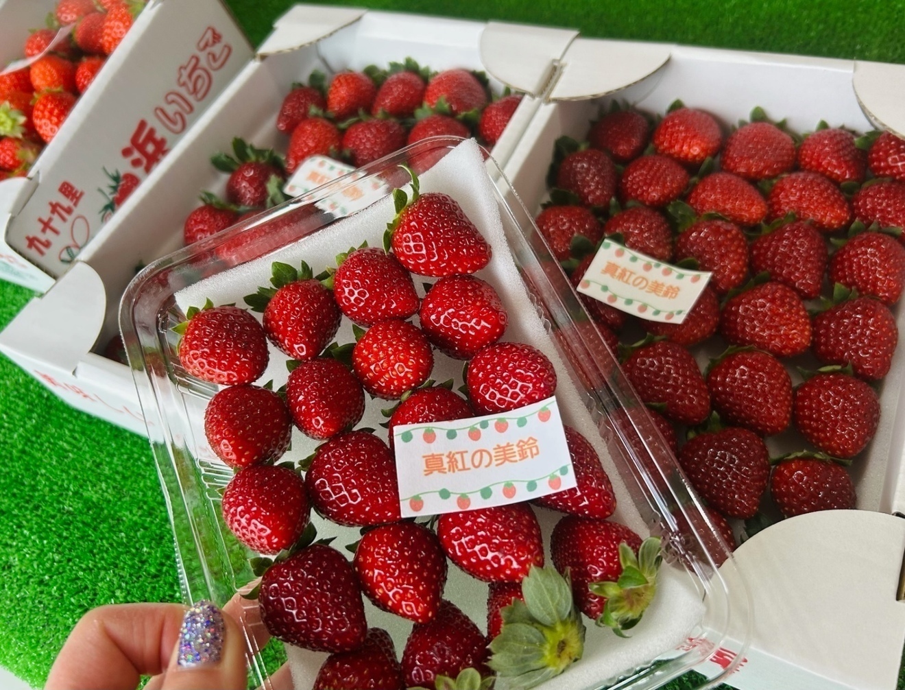 藤代いちご園