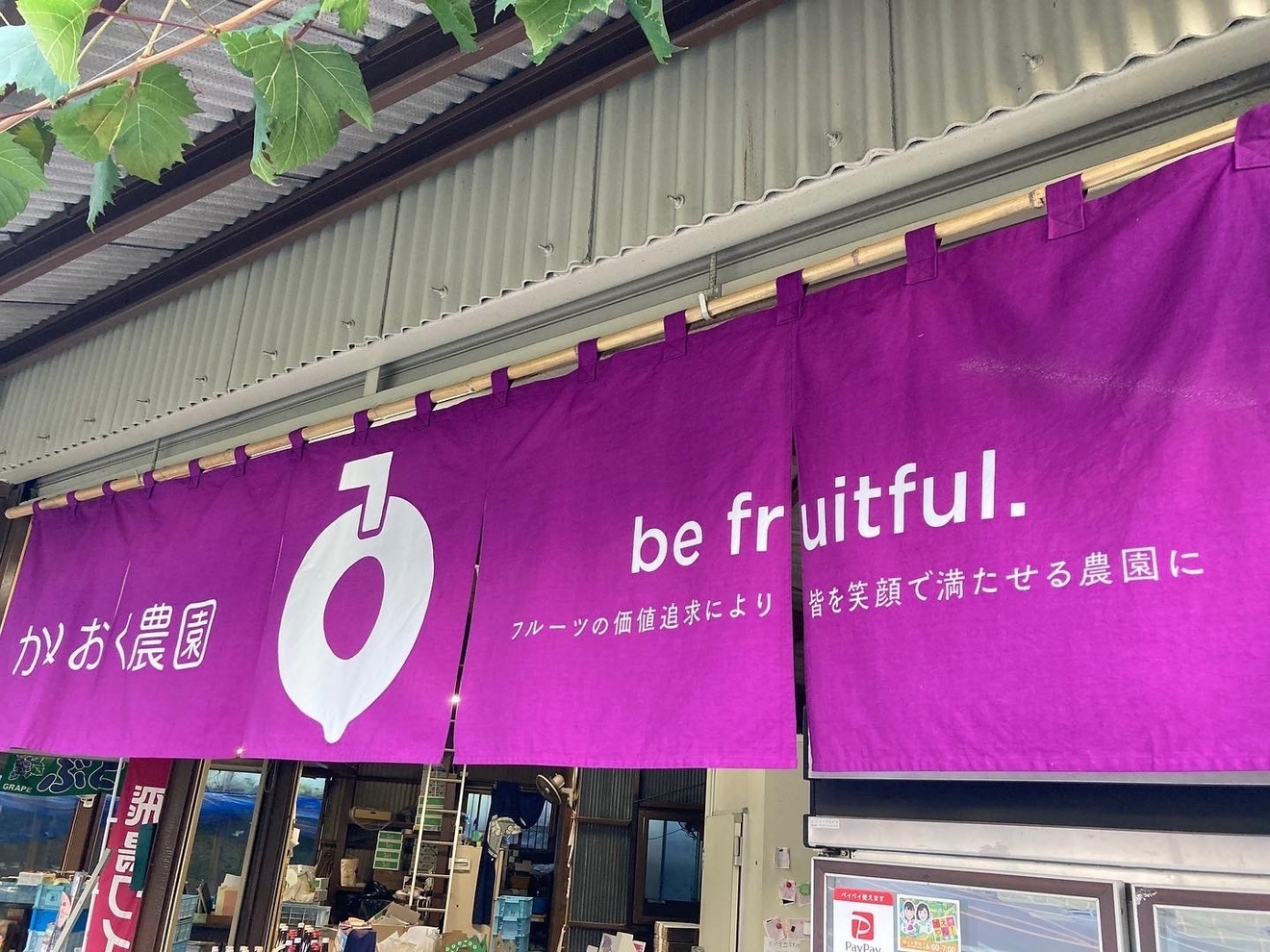 かねおく農園ぶどう直売所