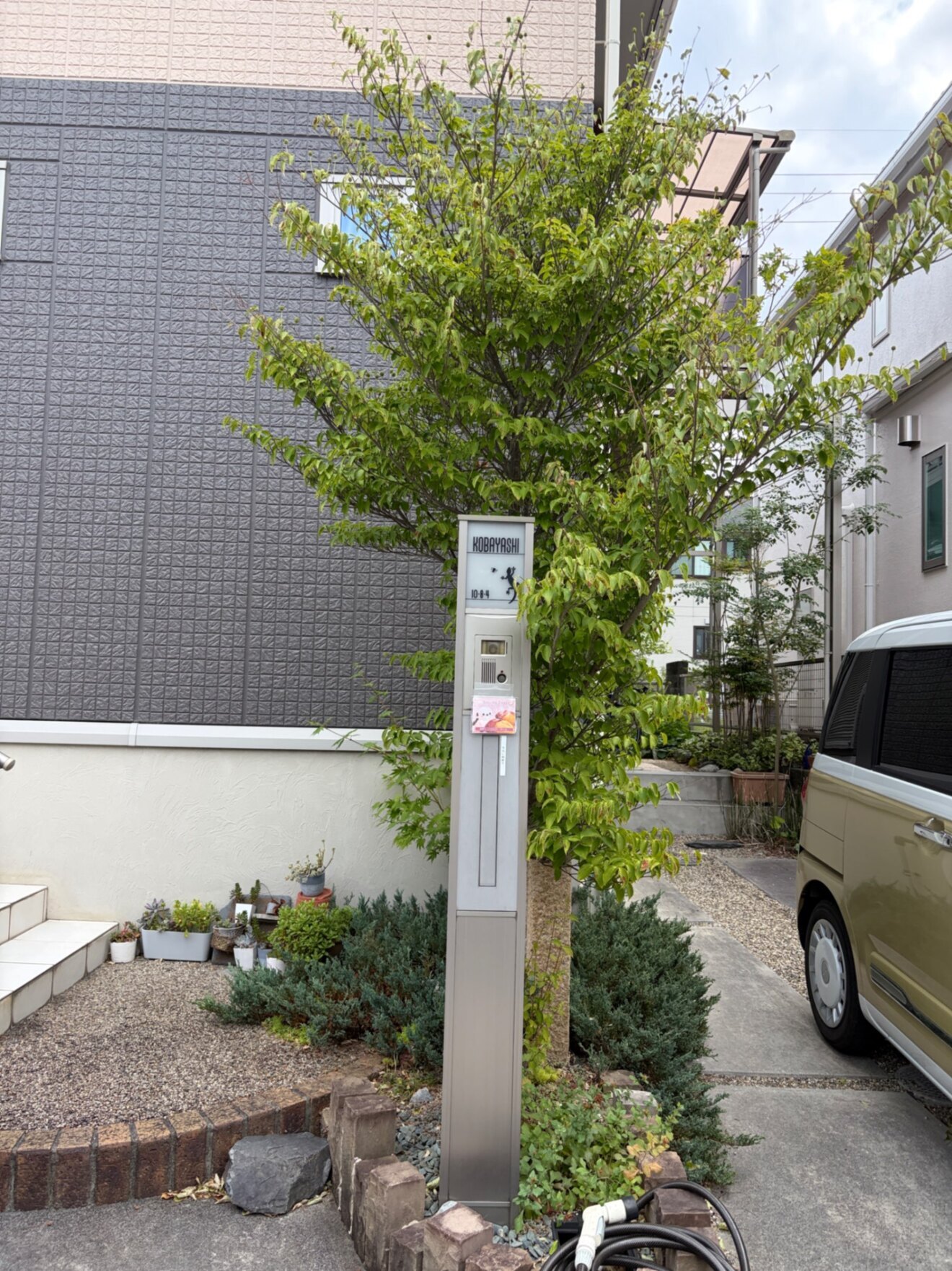 やきいもエナガ　炭火焼✖️冷凍焼芋｜大阪