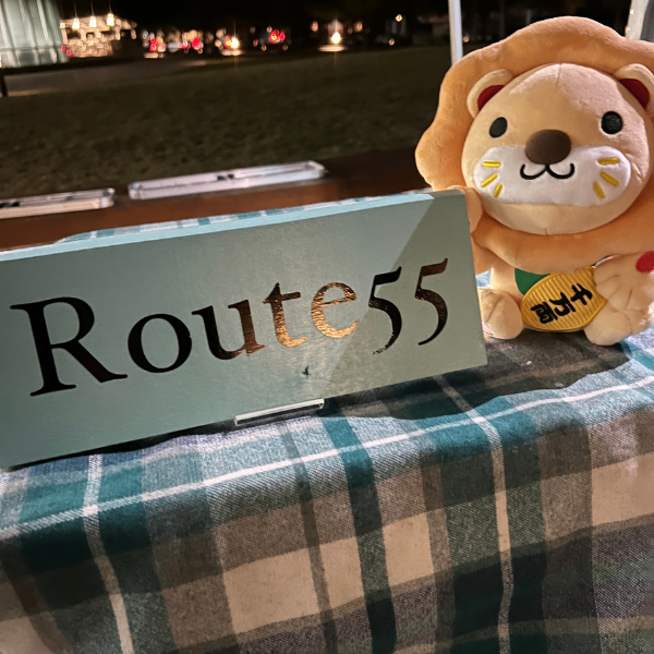 ROUTE55