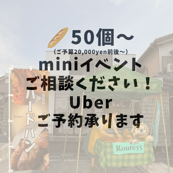 ROUTE55