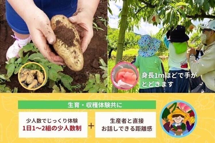 あおぞらふぁーむ（直売・収穫体験）和歌山