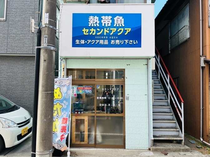 お魚の保護施設@東京都江戸川区