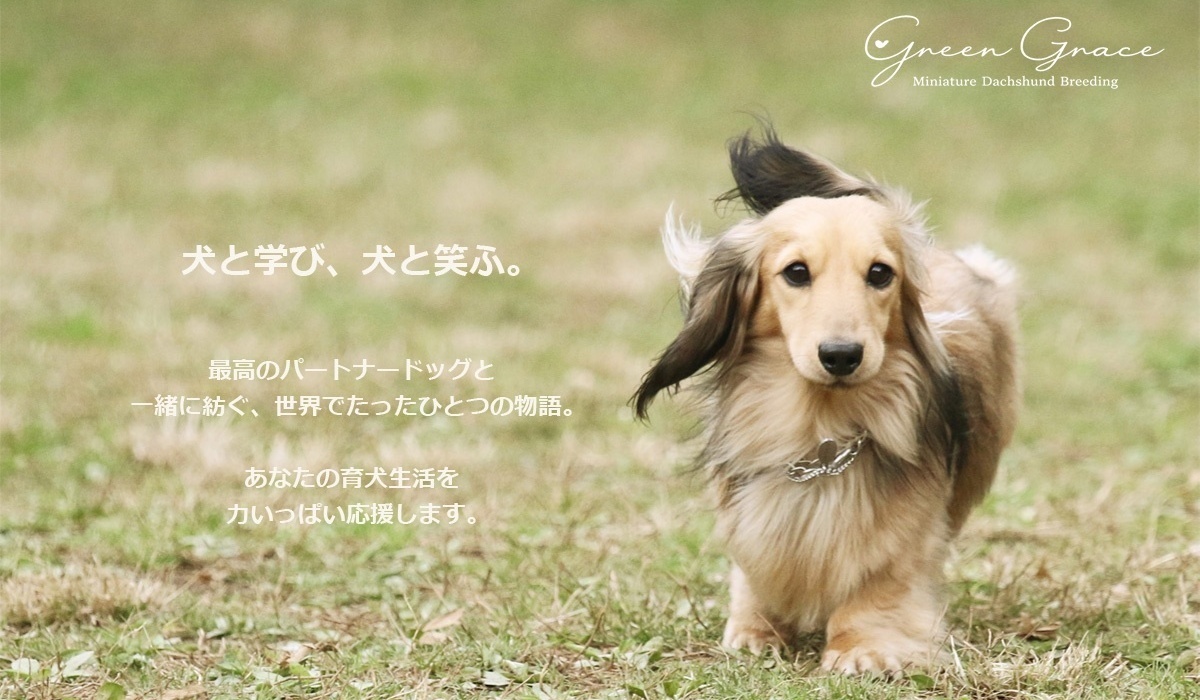 トリミングサロン GREEN GRACE