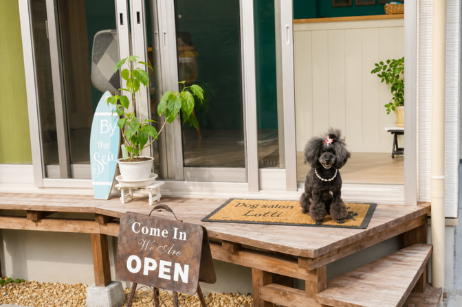 Dog Salon Lotti