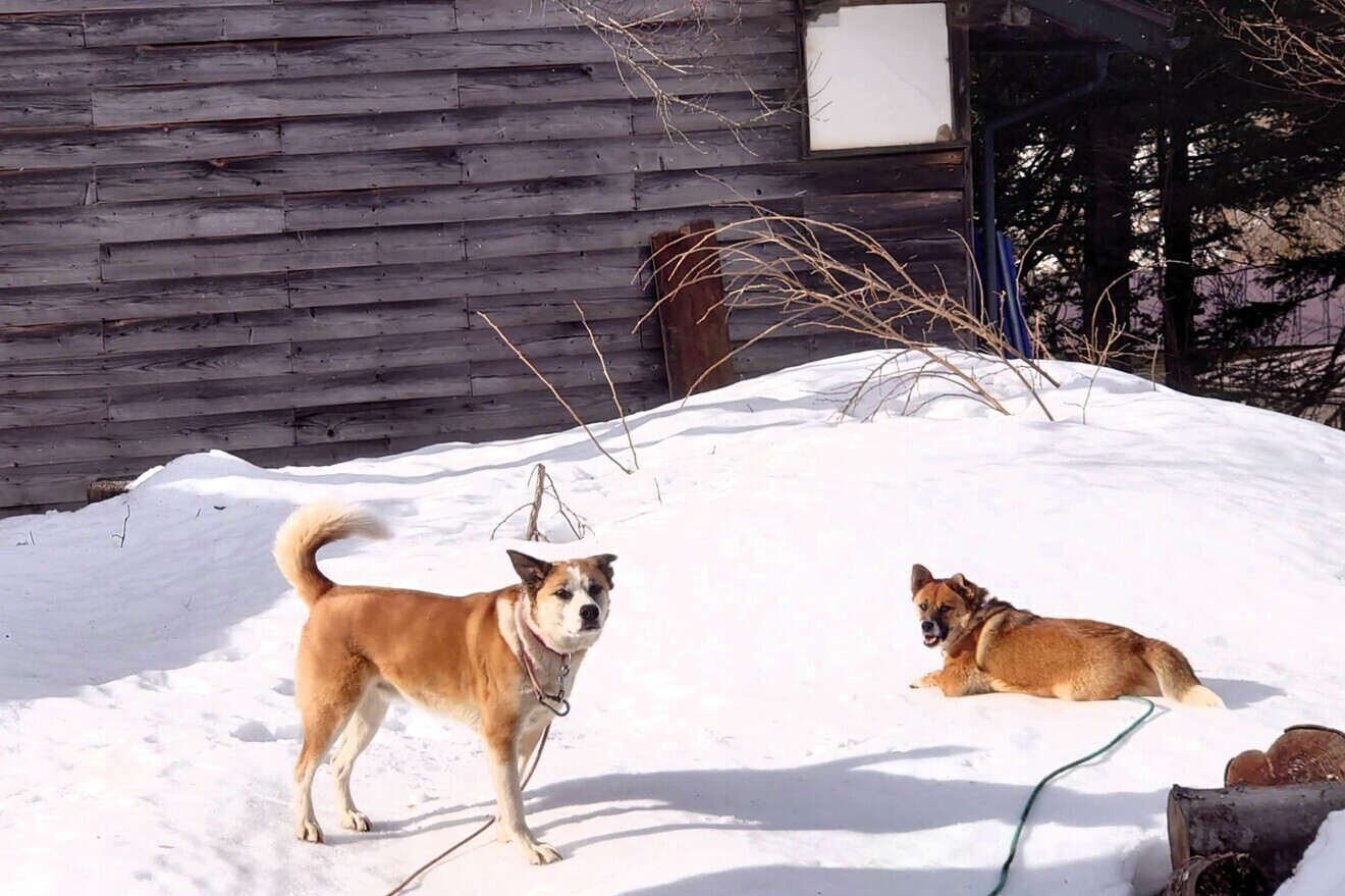 農家民宿ファーマーズイン オリザ　美麻