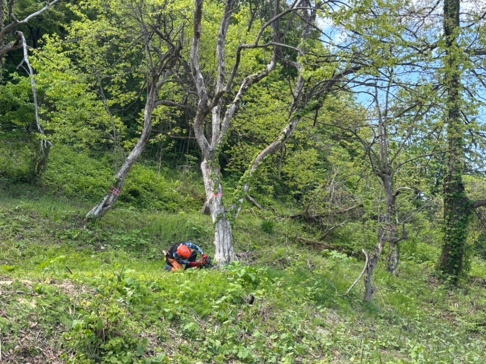 木と山のお手入れ すがわら