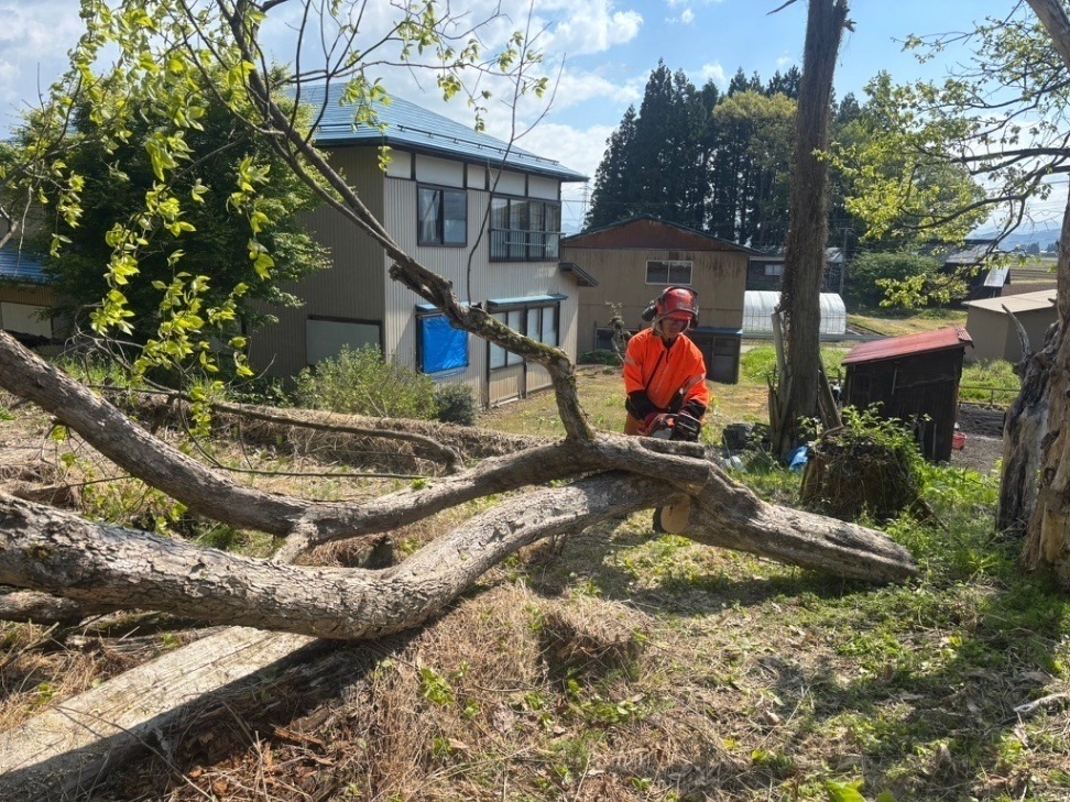 木と山のお手入れ すがわら
