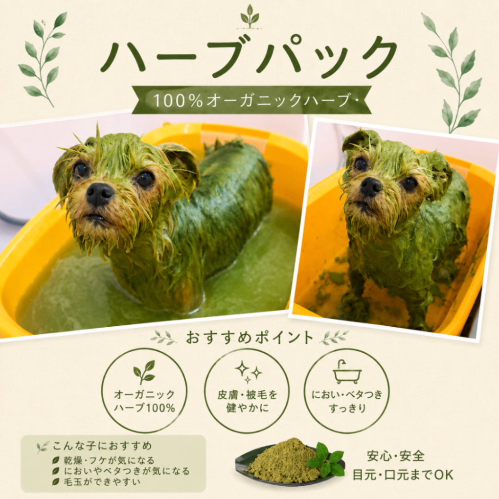 Dog Salon Lotti