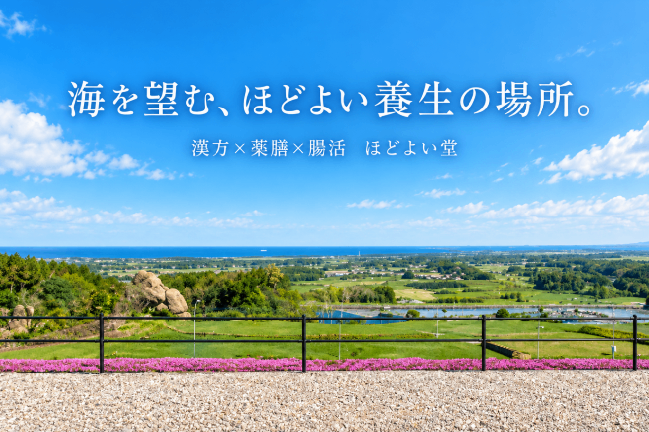 漢方薬局 ほどよい堂｜漢方相談・薬膳茶