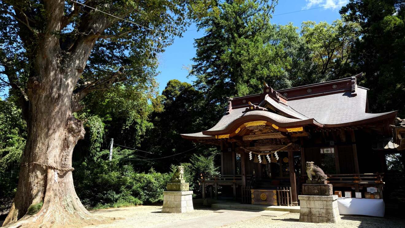 素鵞神社(そがじんじゃ)