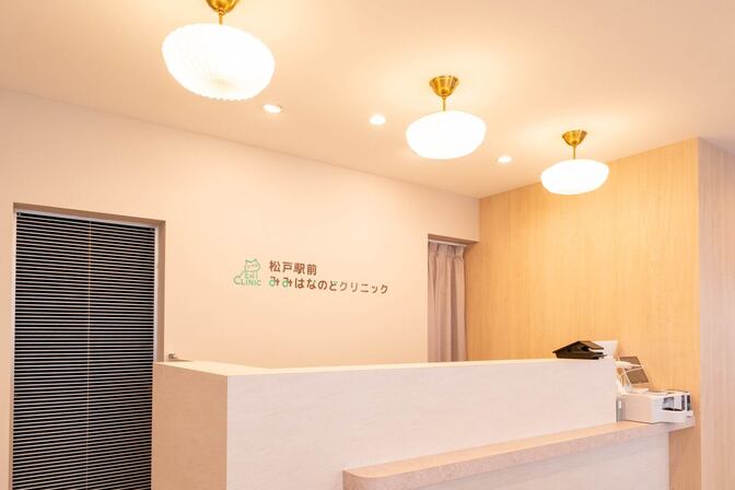 松戸駅前みみはなのどクリニック