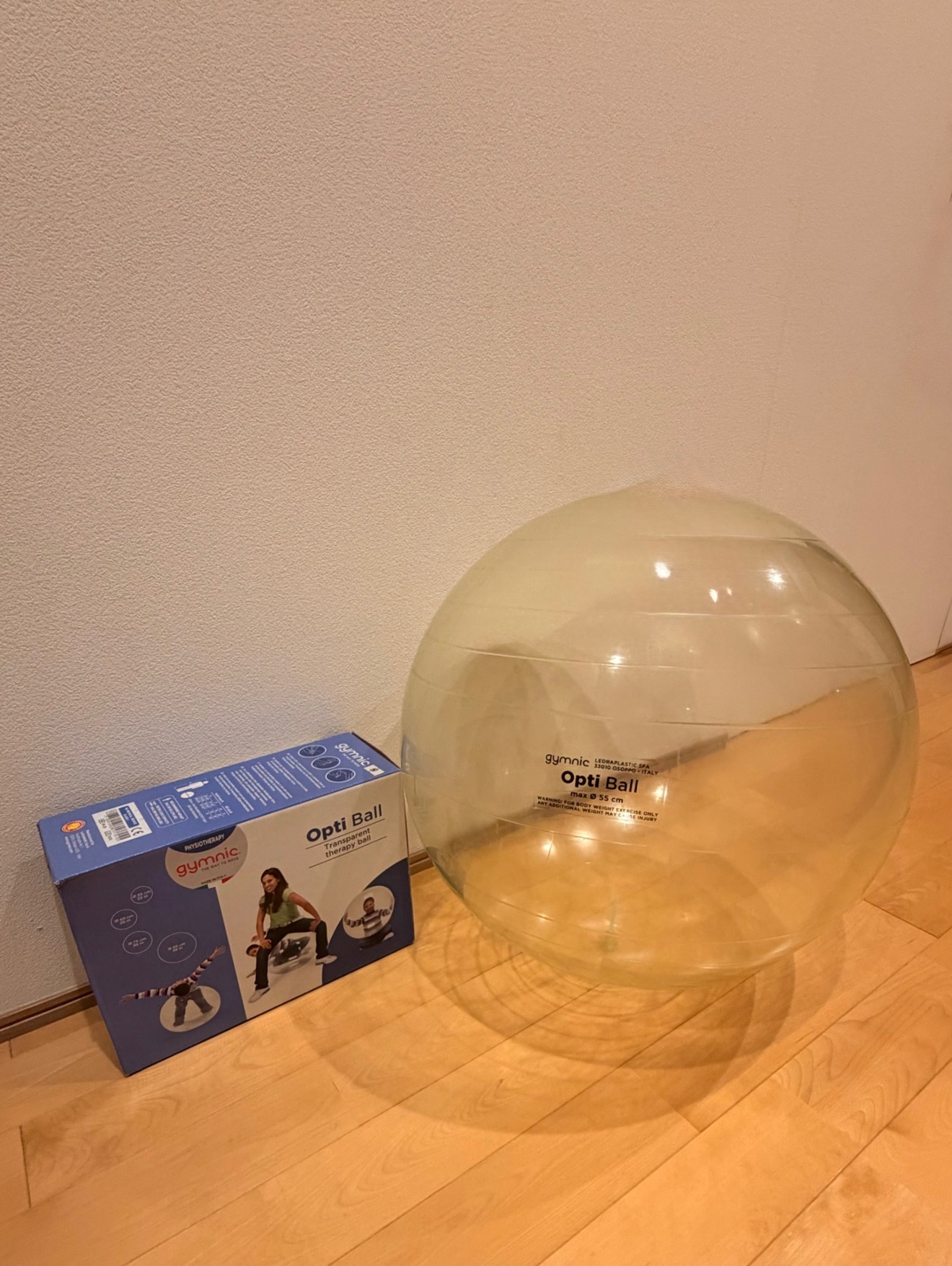 Balance Ball 凜〜Rin〜