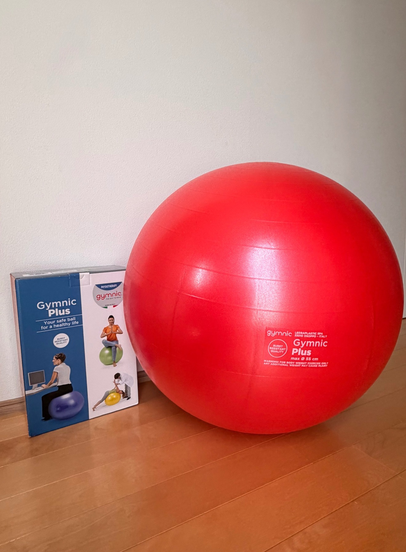 Balance Ball 凜〜Rin〜