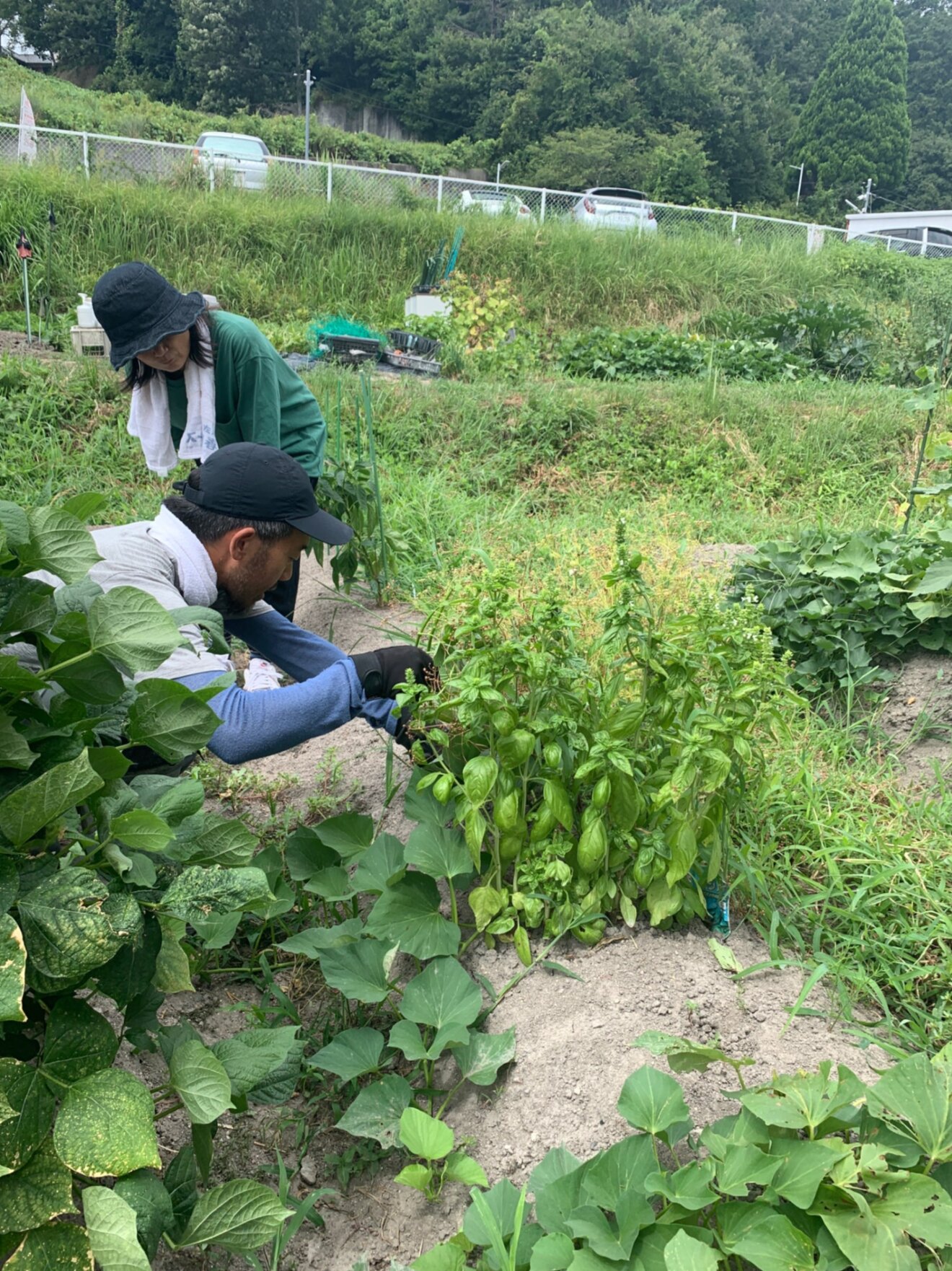 住みびらきのお家　ケレケレ