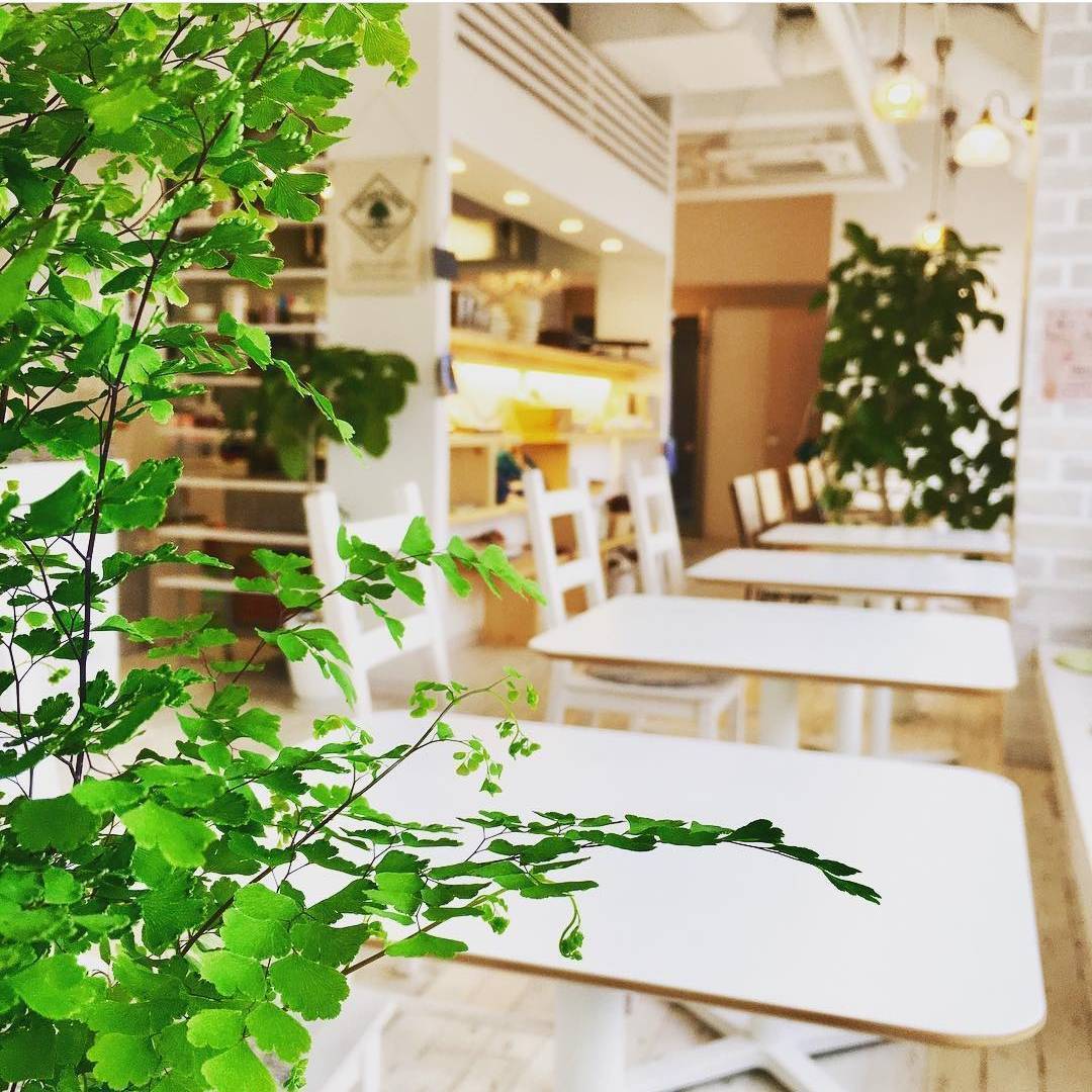 monboncafe　北海道　北広島　