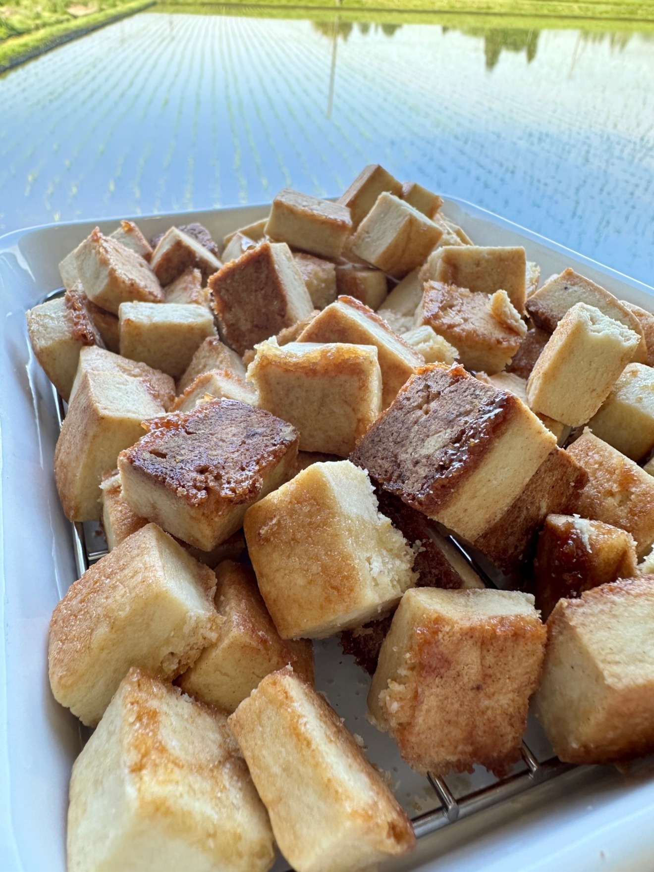 sunny cookie ＆ bagel