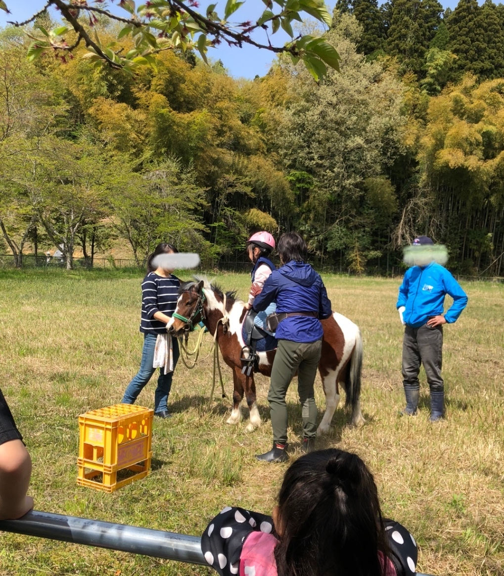 うまともファーム　引き馬【富山県氷見市】