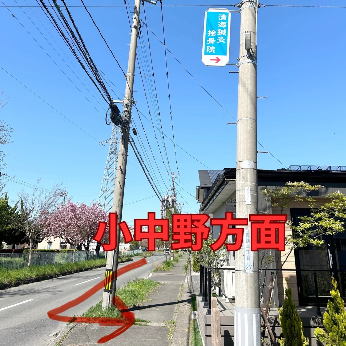 清海鍼灸接骨院