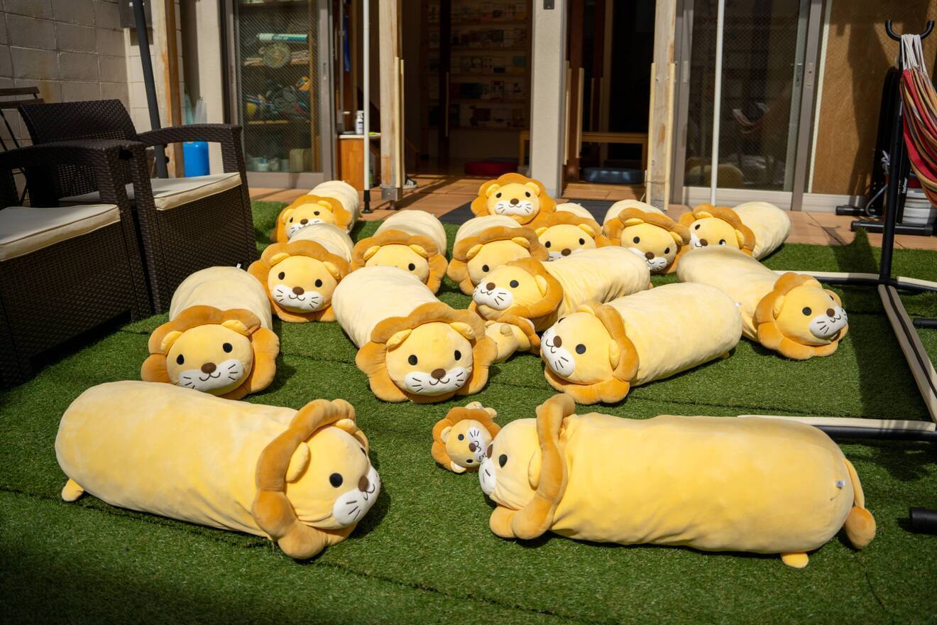 GuestHouseHARUわさびハウス