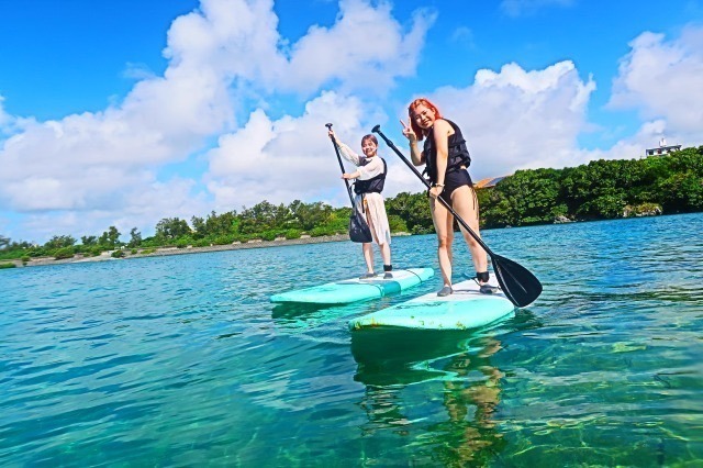 Okinawan sup