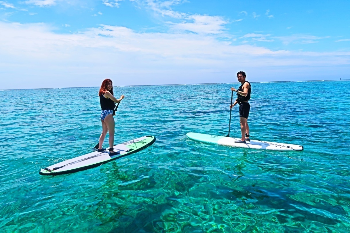 Okinawan sup
