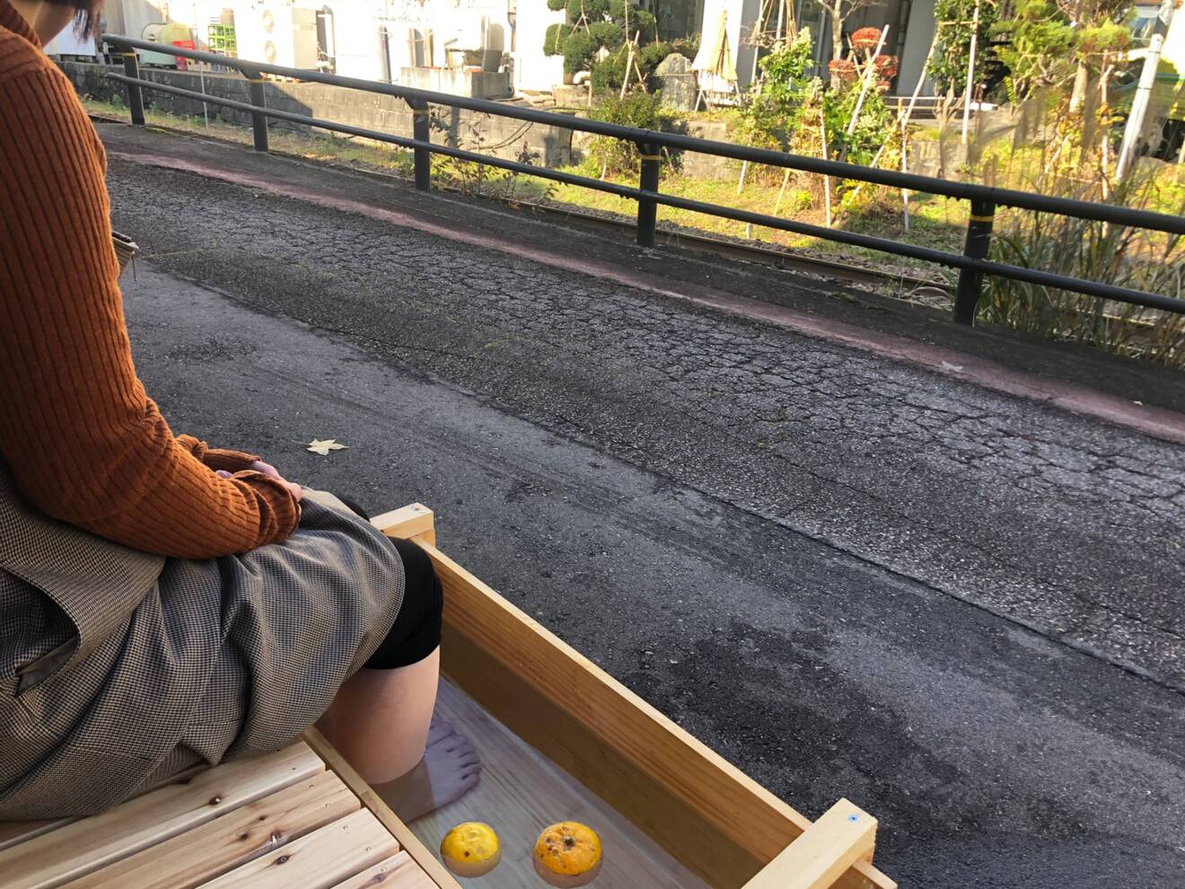 体験の森mikan