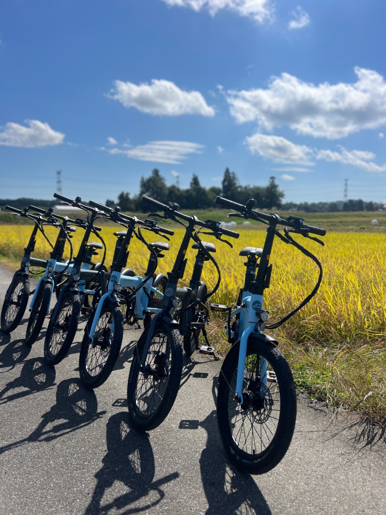 YAMAGATA EXPERIENCE