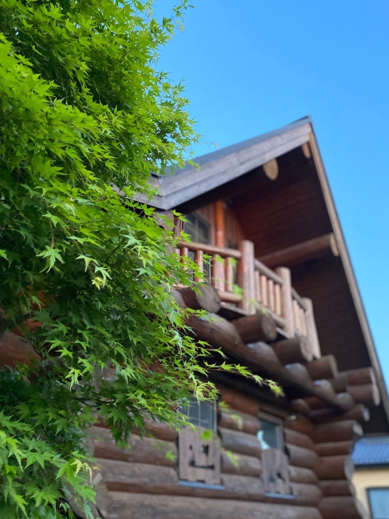 Cafe Plumb Line /仙台市