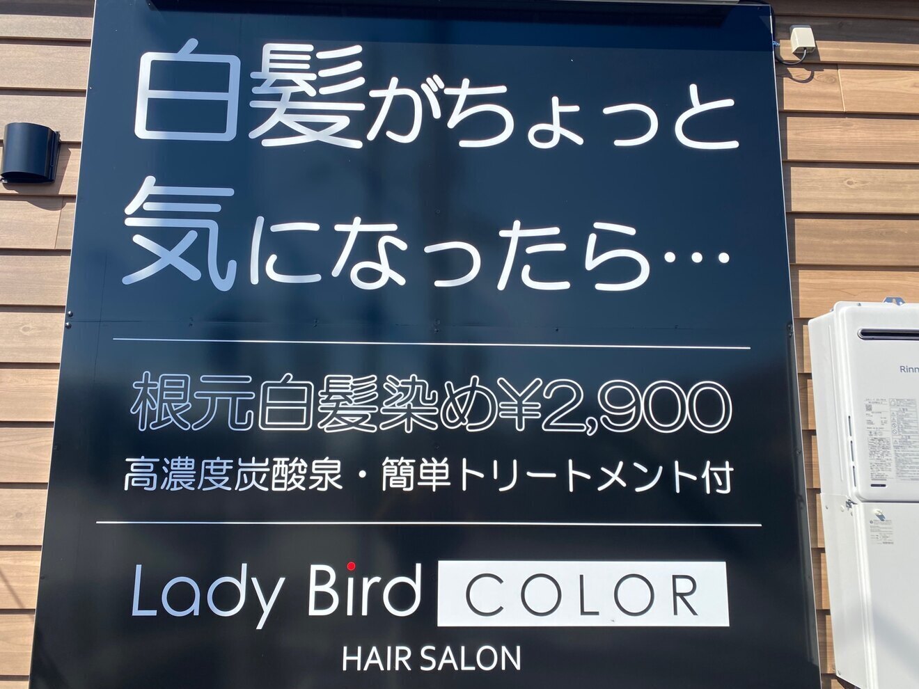 レイディバードカラー深谷稲荷町店