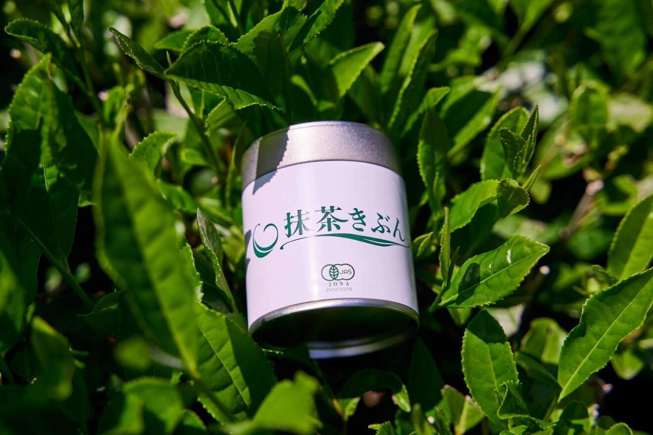 抹茶きぶん