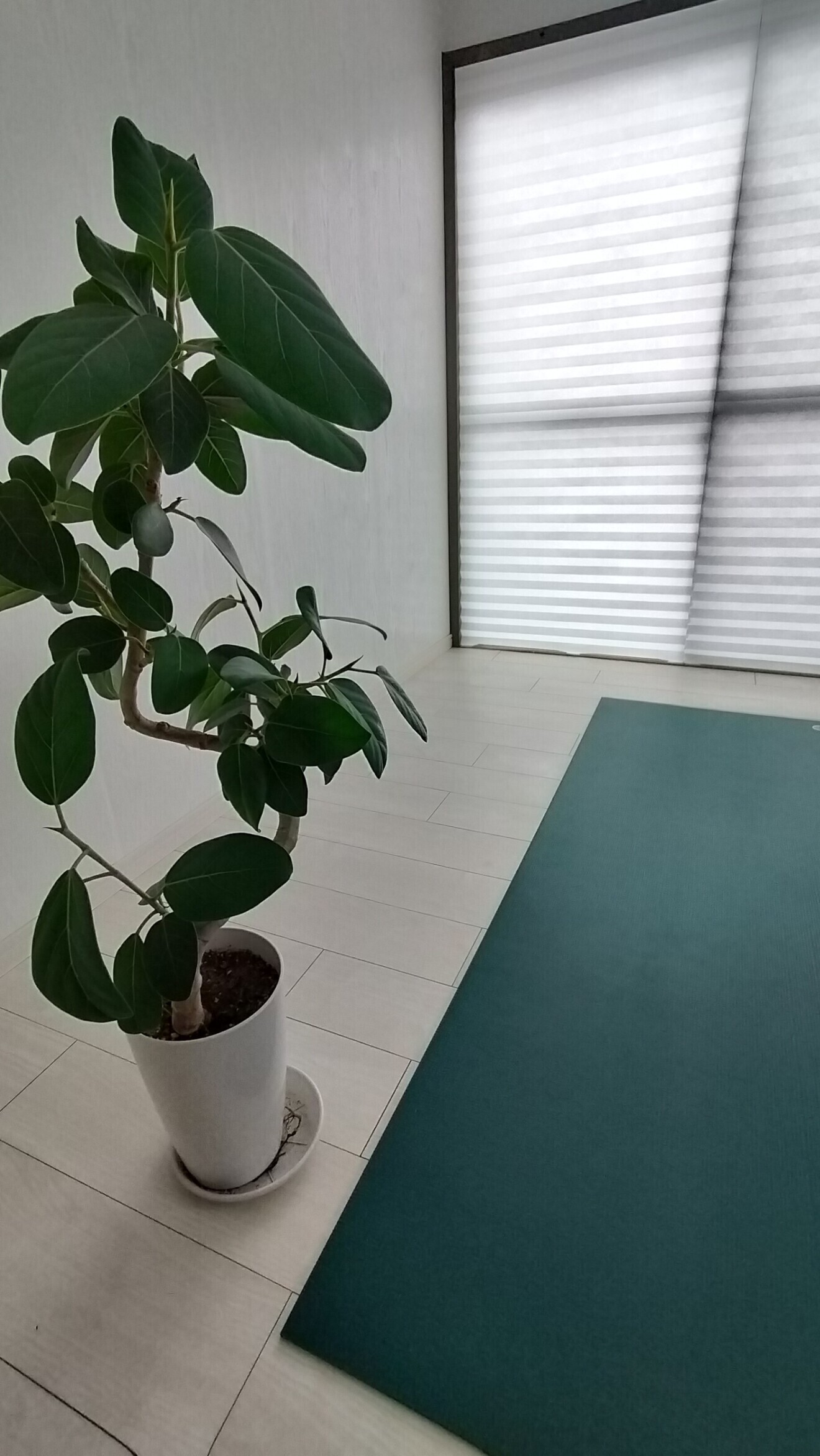 パーソナルヨガサロンBreezea